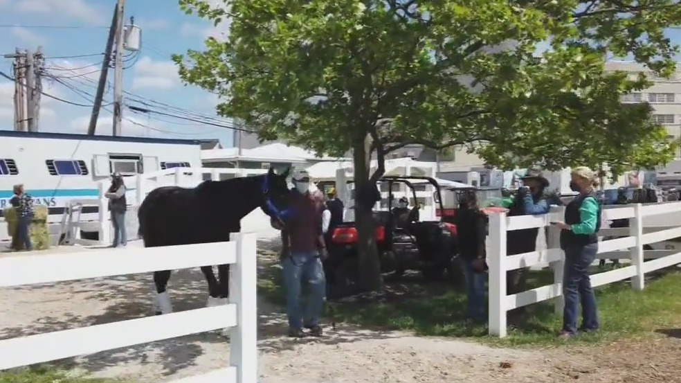 Kentucky Derby winning horse Medina Spirit dies